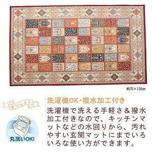 �ڿ�����ۥ���ꥪ�����Υץ��ȥޥå� (50cm �� 80cm) (�ȥ���)�ڼ���ʡۡ��̳�ƻ�����������̡�