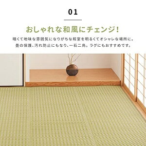 【新生活】洗えるい草風カーペット ルイス 江戸間6帖 (261cm × 352cm) (ブラウン)【取寄商品】【北海道・沖縄送料別】 [2]