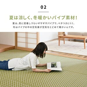 【新生活】洗えるい草風カーペット ルイス 江戸間6帖 (261cm × 352cm) (ブラウン)【取寄商品】【北海道・沖縄送料別】 [3]