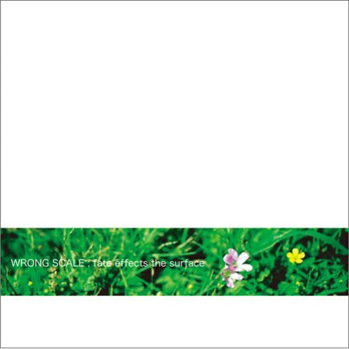 ڼʡCD / WRONG SCALE / fate effects the surface / HKP-6
