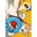 DVD / TVアニメ / 織田シナモン信長 第1巻 / EYBA-12864