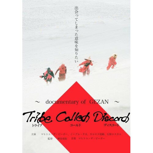 DVD / GEZAN / Tribe Called Discord〜documentary of GEZAN〜 / JSGM-35