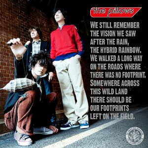 CD / the pillows / 雨上がりに見た幻 (CD+DVD) (初回生産限定盤) / AVCD-31652
