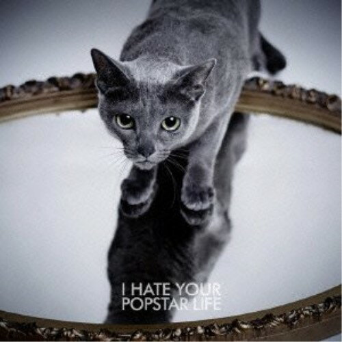 CD / ��̴ / I HATE YOUR POPSTAR LIFE / AVCD-48885