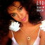 CD/ラヴ・マジック (解説付) (生産限定廉価盤)/L.T.D./UICY-78728