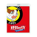 【取寄商品】BD / 邦画 / 木更津キャッツアイ ワールドシリーズ(Blu-ray) (本編Blu-ray+特典DVD) / DAXA-5711