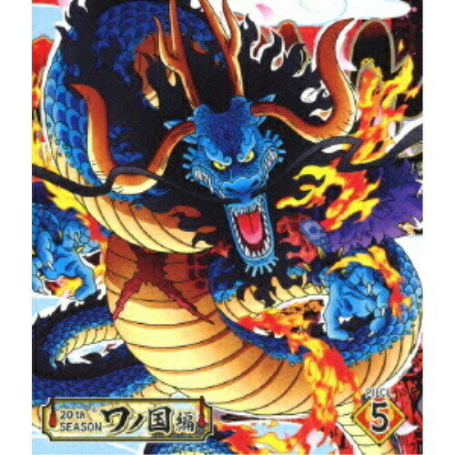 BD / TV 애니메이션 / ONE PIECE 원피스 20TH 시즌 와노 국편 PIECE.5 (Blu-ray) / EYXA-12889