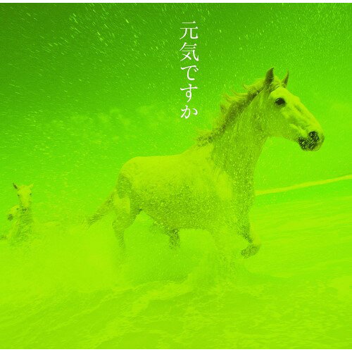 CD / ����ߤ椭 / �����Ǥ��� / YCCW-10026