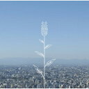 CD / コブクロ / 蕾 (通常盤) / WPCL-10396