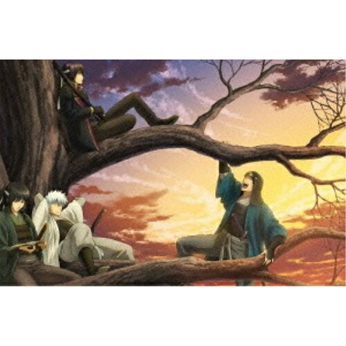 DVD / TVアニメ / 銀魂゜ 08 (通常版) / ANSB-12513