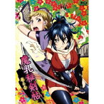 【取寄商品】BD / TVアニメ / 魔乳秘剣帖 ディレクターズカット版 1(Blu-ray) / BIXA-1051