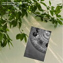 【送料無料】 CD / 成田和子 / 無言愛歌 Chant d'amour sans paroles
