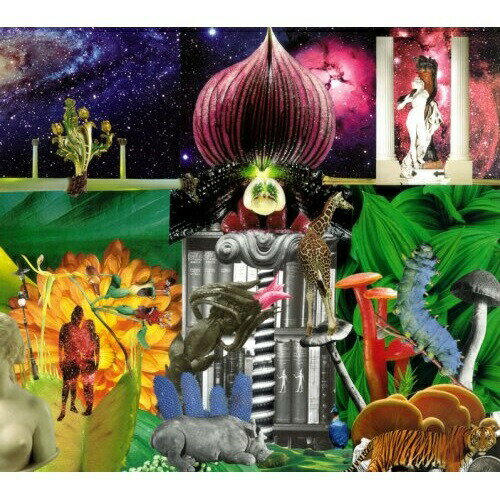 CD / ジ・アップルズ・イン・ステレオ / ニュー・マグネティック・ワンダー / PCD-20003