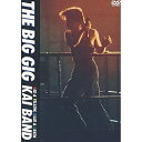 DVD / 甲斐バンド / THE BIG GIG / TOBF-91026