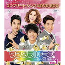 DVD / 海外TVドラマ / ワンダフル・ラブ〜愛の改造計画〜 BOX1(コンプリート・シンプルDVD-BOX) (本編ディスク8枚+特典ディスク1枚) (期...