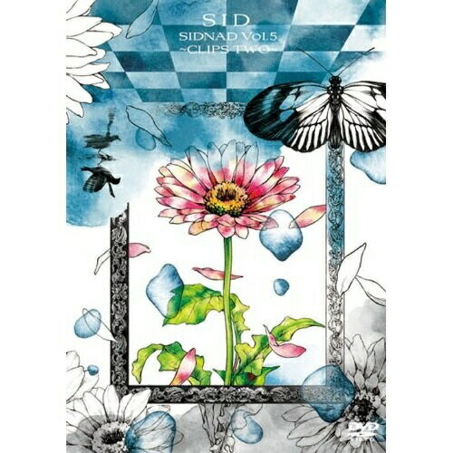 DVD / シド / SIDNAD Vol.5〜CLIPS TWO〜 / KSBL-5942