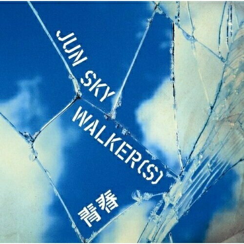 CD / JUN SKY WALKER(S) / 青春 / TFCC-89260
