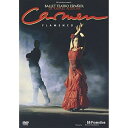 カルメン・フラメンコラファエル・アギラル・スペイン舞踊団ラファエルアギラルスペインブヨウダン らふぁえるあぎらるすぺいんぶようだん　発売日 : 2006年3月08日　種別 : DVD　JAN : 4943674968145　商品番号 : WPBS-95033