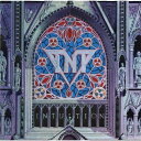 CD / TNT / インテュイション (SHM-CD) (解説歌詞対訳付) / UICY-25143