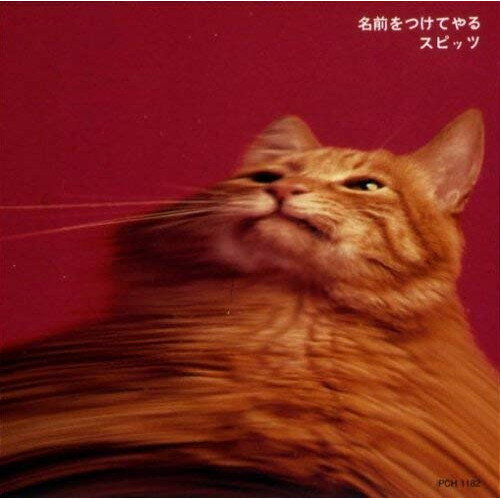 CD / スピッツ / 名前をつけてやる (SHM-CD) / UPCH-1672