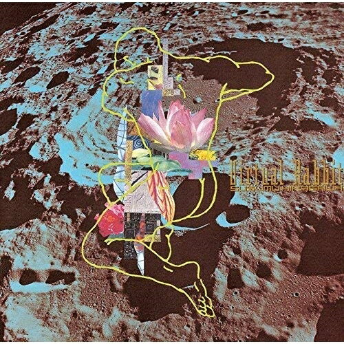 ץ饤WEB㤨CD / ʿ / 奢롦ӥå (SHM-CD / UPCY-6911פβǤʤ2,074ߤˤʤޤ