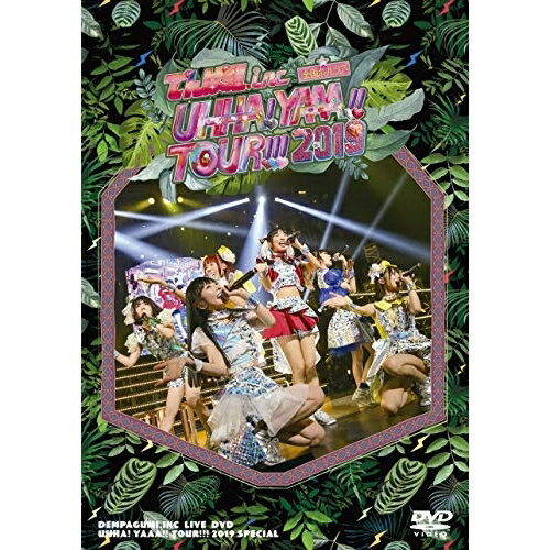 DVD / でんぱ組.inc / UHHA! YAAA!! TOUR!!! 2019 SPECIAL (通常盤) / TFBQ-18217