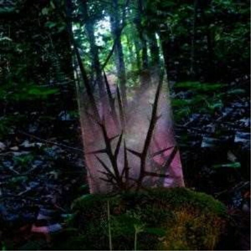 �ڼ���ʡ�CD / �����󥻥󡦥��ݡ����� / ���ƥ륹�����֡��ǥ��� (������) / PCD-18758