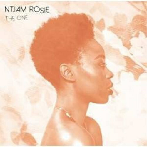 【取寄商品】CD / ネジャム・ロズィエ / ザ・ワン (解説歌詞対訳付) / PCD-93887