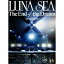 DVD / LUNA SEA / The End of the Dream -prologue- / YIBQ-10291