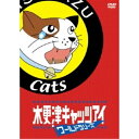 DVD / 邦画 / 木更津キャッツアイ ワールドシリーズ (通常版) / ZMBJ-3281