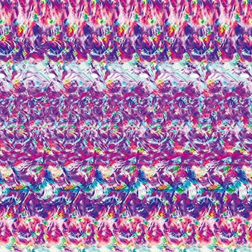 LP(30cm) / Tempalay / ゴーストアルバム (完全生産限定盤) / WPJL-10138
