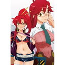 DVD / TVアニメ / 天元突破グレンラガン 8 / ANSB-2778