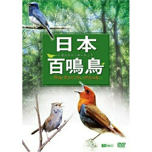 【取寄商品】DVD / 趣味教養 / 日本百鳴鳥/映像と鳴き声で愉しむ野鳥図鑑 / SDA-84