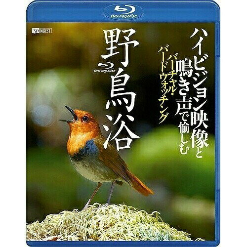 【取寄商品】BD / 趣味教養 / 野鳥浴 ハイビジョン映像と鳴き声で愉しむバーチャル・バードウォッチング(Blu-ray) / RDA-5