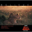 CD / 杉本竜一 / BELIEVE NHK「生きもの地球紀行」サウンドトラックIII (SHM-CD) (解説歌詞付) / UICY-15138