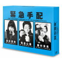 DVD / 国内TVドラマ / 怪盗 山猫 DVD-BOX (本編ディスク5枚+特典ディスク1枚) / VPBX-29952