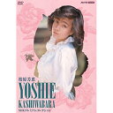 DVD / 柏原芳恵 / 柏原芳恵 NHKプレミアムコレクション / POBD-25911