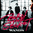 CD / WANDS / BURN THE SECRET (通常盤) / GZCD-5013