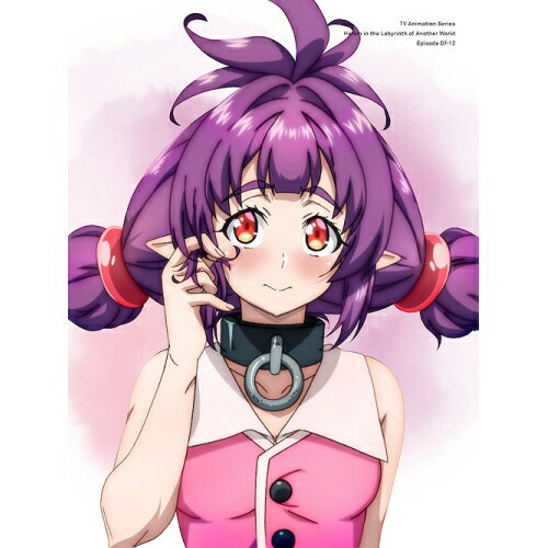 樂天商城 - DVD / TVアニメ / 異世界迷宮でハーレムを DVD BOX 下巻 / ZMSZ-15942