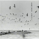 CD / 友部正人 / 奇跡の果...