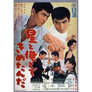 【取寄商品】DVD / 邦画 / 星と俺とできめたんだ / HPBN-391