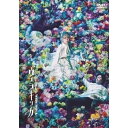 DVD / ミュージカル / ミュージカル『ヴェラキッカ』 / PCBP-54456