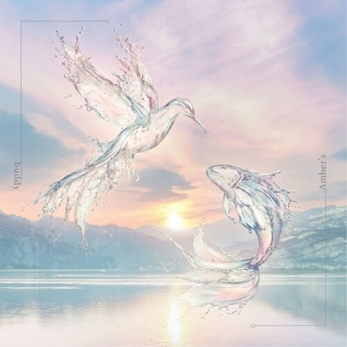 CD / Amber's / buddy (CD+Blu-ray) (初回生産限定盤) / ESCL-5756