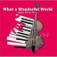 【取寄商品】CD / Akiko Muto Duo / What a Wonderful World / AKO-6