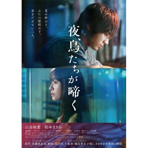【取寄商品】DVD / 邦画 / 夜、鳥たちが啼く (通常版) / TCED-6943