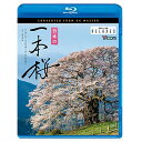 【取寄商品】BD / 趣味教養 / 日本の一本桜 4K撮影作品(Blu-ray) / VB-5515