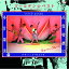 CD / ジューシィ・フルーツ / ゴールデン☆ベスト ジューシィ・フルーツ -多汁果実 品質特撰- (UHQCD) (解説付) / COCP-40693 2,091円