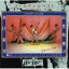 CD / ジューシィ・フルーツ / ゴールデン☆ベスト ジューシィ・フルーツ-多汁果実 品質特撰- / COCP-33090 1,909円