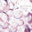 CD / 䤨 / MELTAWAY (CD+DVD) (TYPE-A) / GNCL-7901