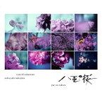 CD / 坂本龍一・中島ノブユキ / NHK大河ドラマ オリジナル・サウンドトラック コンプリート盤 「八重の桜」 (紙ジャケット) / RZCM-59519